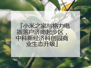 小米之家与格力电器落户济南起步区，中科新经济科创园商业生态升级