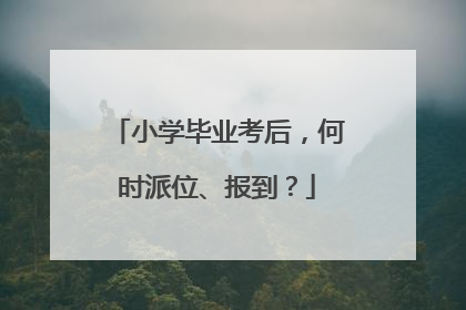 小学毕业考后，何时派位、报到？