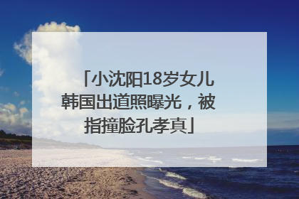 小沈阳18岁女儿韩国出道照曝光，被指撞脸孔孝真