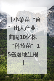 小菜苗“育”出大产业 曲周10亿株“科技苗”15省落地生根