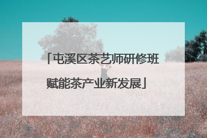屯溪区茶艺师研修班赋能茶产业新发展
