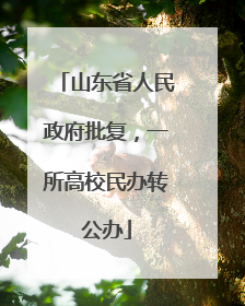 山东省人民政府批复，一所高校民办转公办