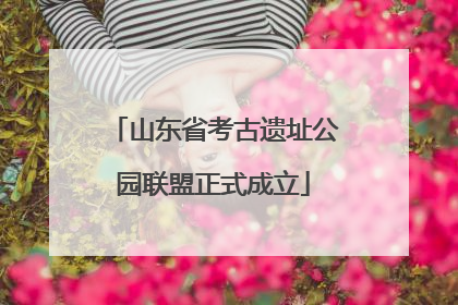 山东省考古遗址公园联盟正式成立