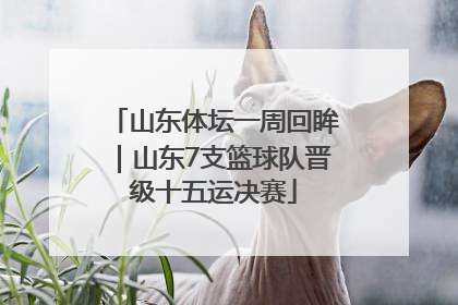 山东体坛一周回眸｜山东7支篮球队晋级十五运决赛