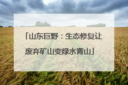 山东巨野：生态修复让废弃矿山变绿水青山