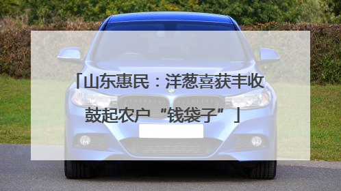 山东惠民：洋葱喜获丰收 鼓起农户“钱袋子”