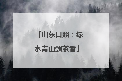 山东日照：绿水青山飘茶香