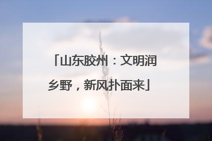 山东胶州：文明润乡野，新风扑面来