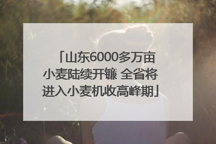 山东6000多万亩小麦陆续开镰 全省将进入小麦机收高峰期