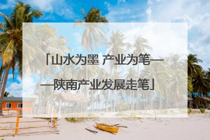山水为墨 产业为笔——陕南产业发展走笔