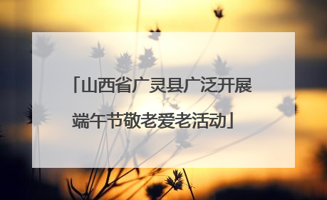 山西省广灵县广泛开展端午节敬老爱老活动