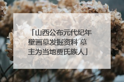山西公布元代纪年壁画墓发掘资料 墓主为当地贾氏族人