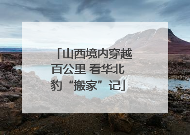 山西境内穿越百公里 看华北豹“搬家”记