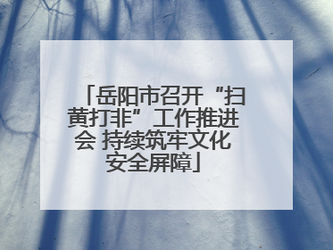 岳阳市召开“扫黄打非”工作推进会 持续筑牢文化安全屏障