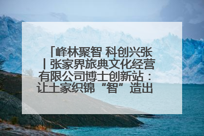 峰林聚智 科创兴张丨张家界旅典文化经营有限公司博士创新站：让土家织锦“智”造出非遗新传奇