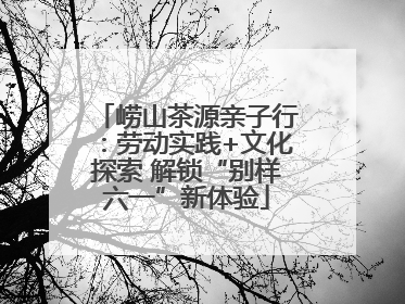 崂山茶源亲子行：劳动实践+文化探索 解锁“别样六一”新体验