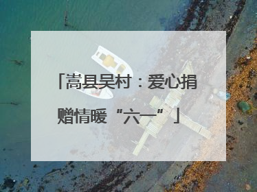 嵩县吴村：爱心捐赠情暖“六一”