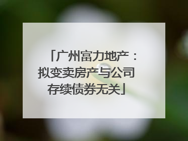 广州富力地产：拟变卖房产与公司存续债券无关