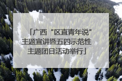 广西“区直青年说”主题宣讲暨五四示范性主题团日活动举行