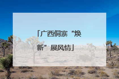 广西侗寨“焕新”展风情