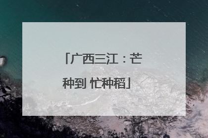 广西三江：芒种到 忙种稻