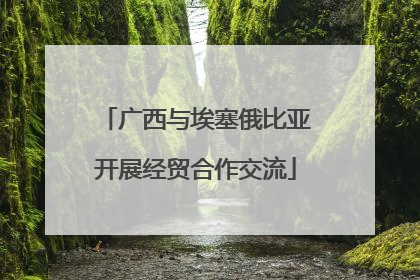 广西与埃塞俄比亚开展经贸合作交流