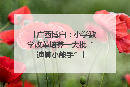 广西博白：小学数学改革培养一大批“速算小能手”