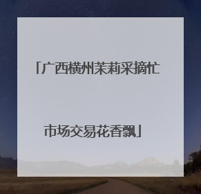 广西横州茉莉采摘忙 市场交易花香飘