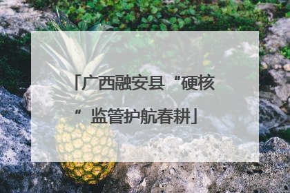 广西融安县“硬核”监管护航春耕