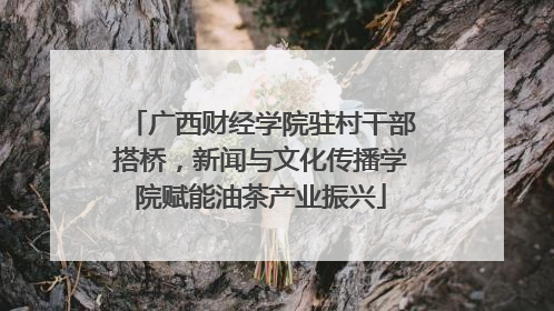 广西财经学院驻村干部搭桥，新闻与文化传播学院赋能油茶产业振兴