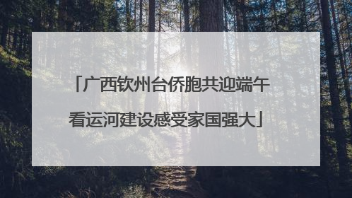 广西钦州台侨胞共迎端午 看运河建设感受家国强大