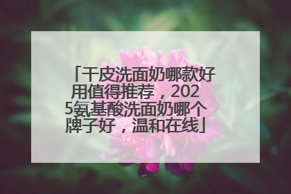 干皮洗面奶哪款好用值得推荐，2025氨基酸洗面奶哪个牌子好，温和在线