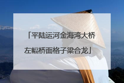 平陆运河金海湾大桥左幅桥面格子梁合龙
