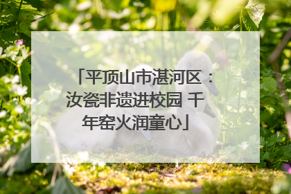 平顶山市湛河区：汝瓷非遗进校园 千年窑火润童心