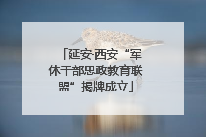 延安·西安“军休干部思政教育联盟”揭牌成立