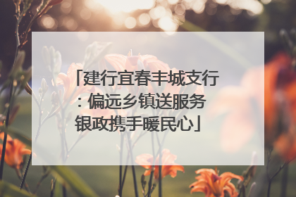 建行宜春丰城支行：偏远乡镇送服务 银政携手暖民心