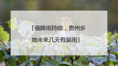 强降雨持续，贵州多地未来几天有暴雨