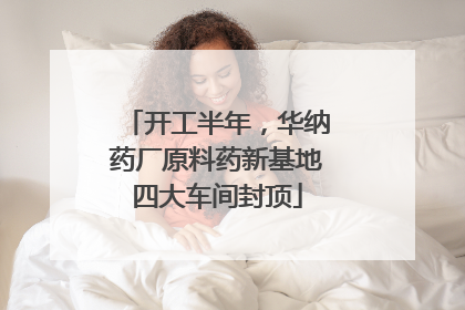 开工半年，华纳药厂原料药新基地四大车间封顶