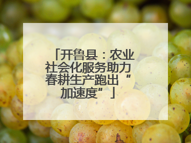 开鲁县：农业社会化服务助力春耕生产跑出“加速度”