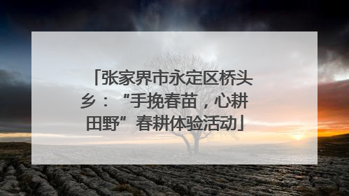 张家界市永定区桥头乡：“手挽春苗，心耕田野”春耕体验活动