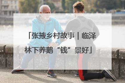 张掖乡村故事｜临泽林下养鹅“钱”景好