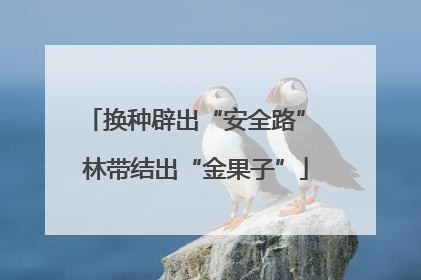 换种辟出“安全路” 林带结出“金果子”