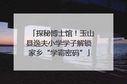 探秘博士馆！玉山县逸夫小学学子解锁家乡“学霸密码”