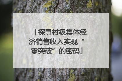 探寻村级集体经济销售收入实现“零突破”的密码
