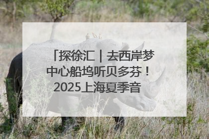 探徐汇｜去西岸梦中心船坞听贝多芬！2025上海夏季音乐节公布节目阵容