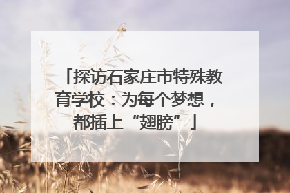 探访石家庄市特殊教育学校：为每个梦想，都插上“翅膀”