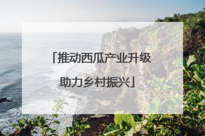 推动西瓜产业升级 助力乡村振兴