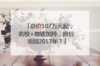 总价107万元起，名校+地铁加持，房价重回2017年？