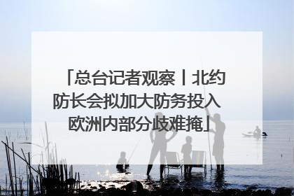 总台记者观察丨北约防长会拟加大防务投入 欧洲内部分歧难掩