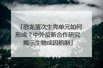 恐龙蛋次生壳单元如何形成？中外最新合作研究揭示生物成因机制